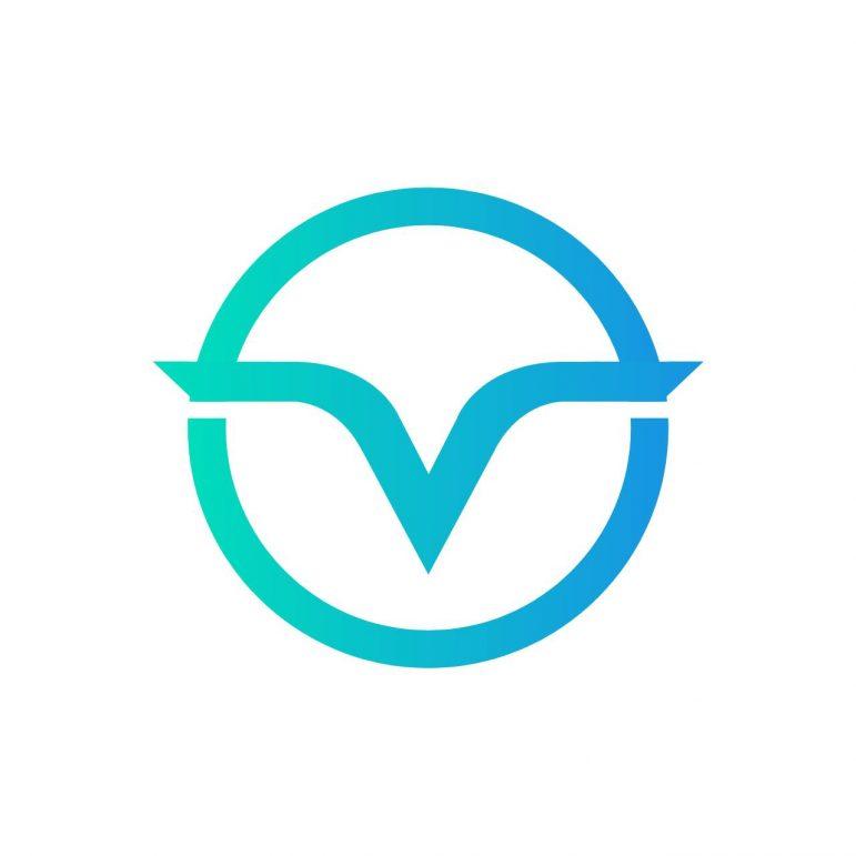 Voomsway company logo